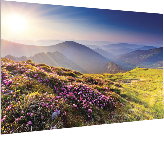 PROJECTA FULLVISION 10600729